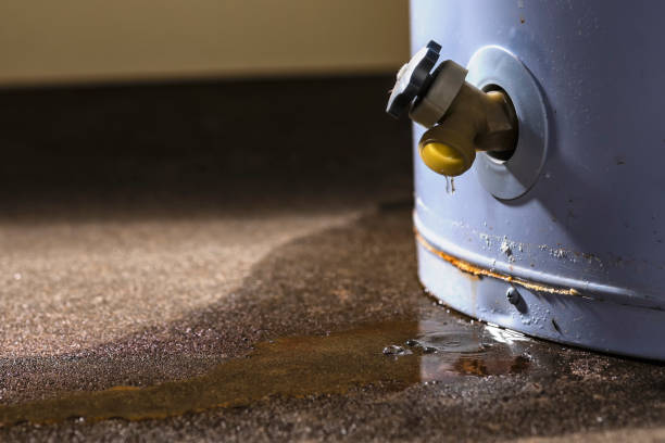 Best Water damage contractors near me  in Colesville, MD