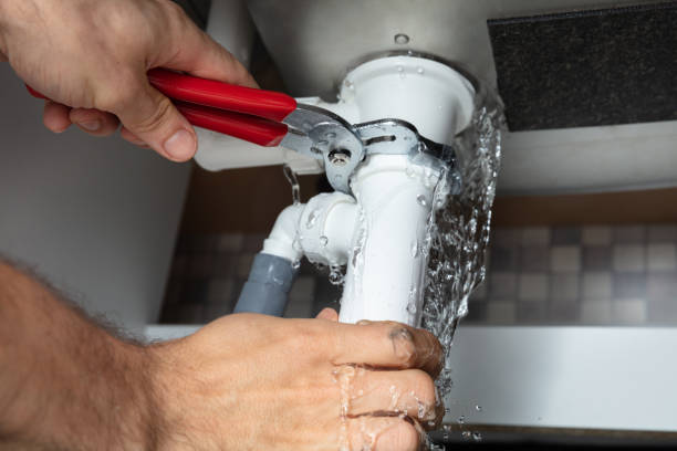 Best Carpet water damage restoration  in Colesville, MD