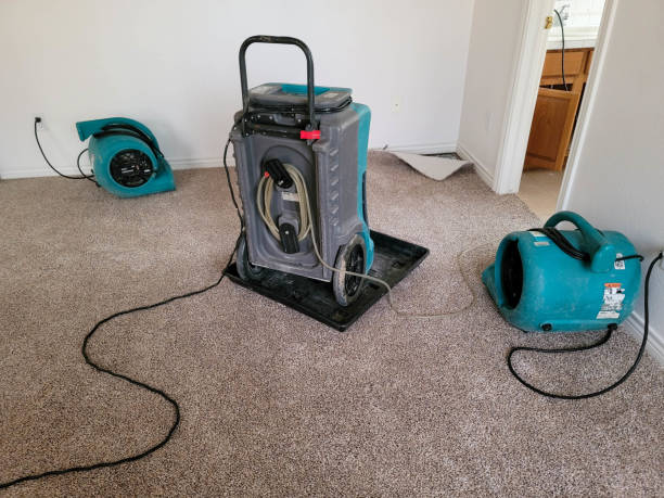 Best Local water damage restoration  in Colesville, MD