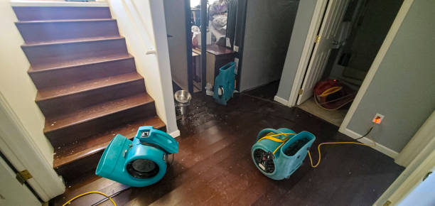 Best Flooded house restoration  in Colesville, MD