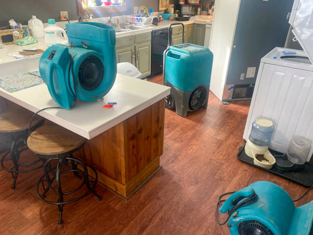 Best Sewage cleanup and water damage restoration  in Colesville, MD
