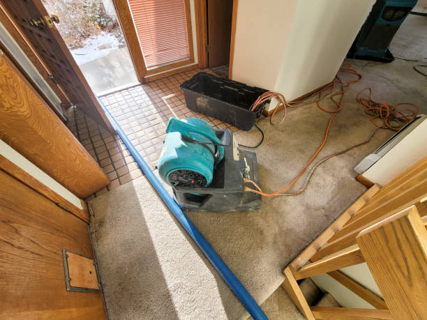  Colesville, MD Water damage restoration Pros
