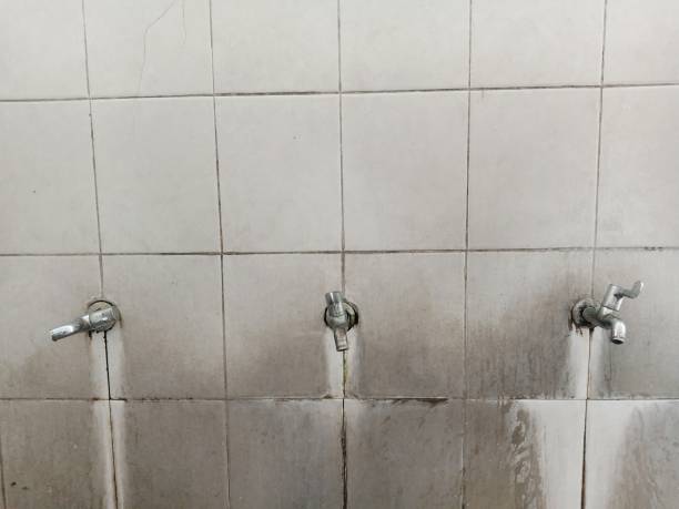Best Fire Damage Restoration  in Colesville, MD