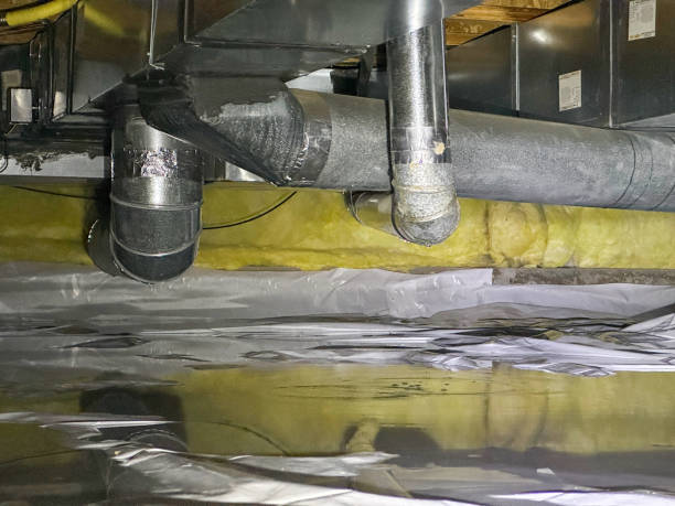 Best Ceiling water damage repair  in Colesville, MD