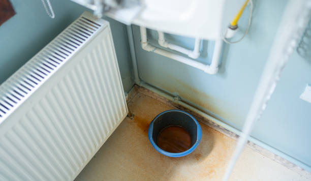 Best Water damage restoration experts  in Colesville, MD