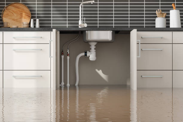 Best Basement water damage restoration  in Colesville, MD