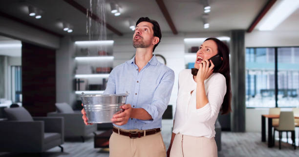 Carpet water damage restoration in Colesville, MD