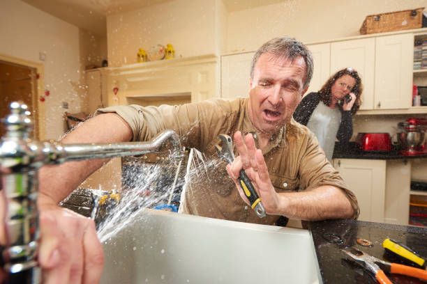 Best Mold removal after water damage  in Colesville, MD